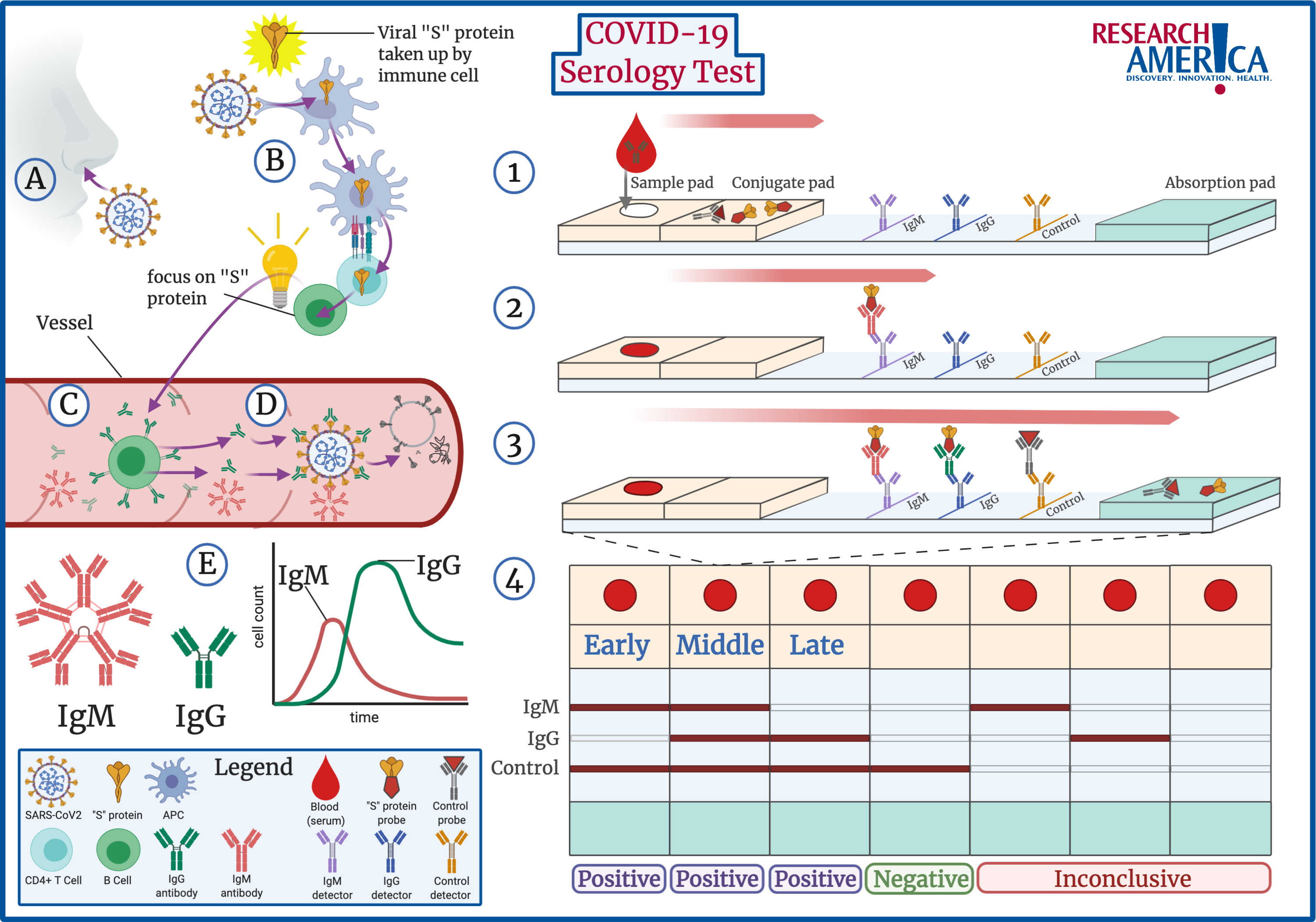 case study for immunology and serology